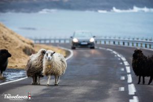 W04_1569 copia_risultato